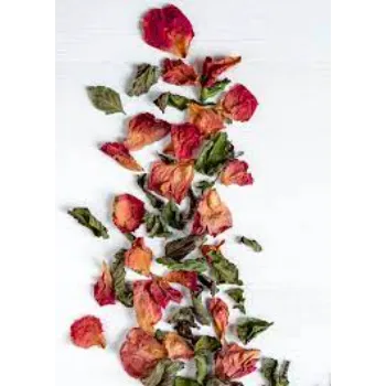 Nice Dry Rose Leaves